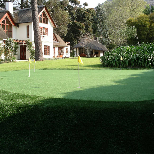 Asheville Backyard Putting Green