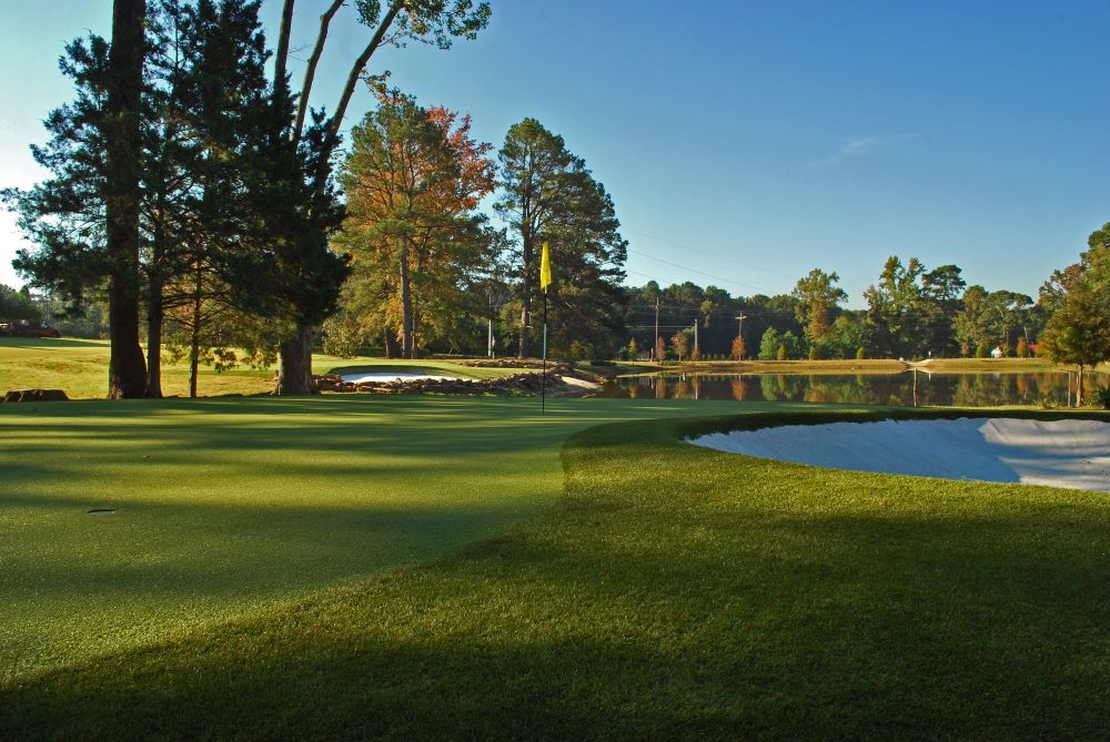 Asheville Artificial Turf Golf Course