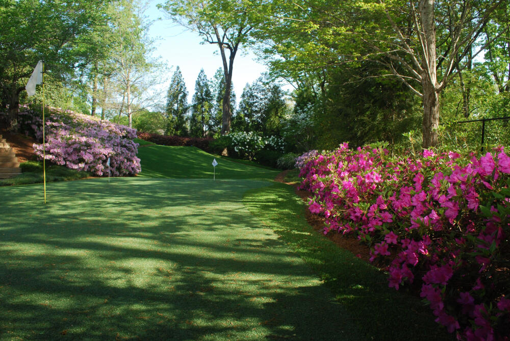 Asheville backyard putting green grass
