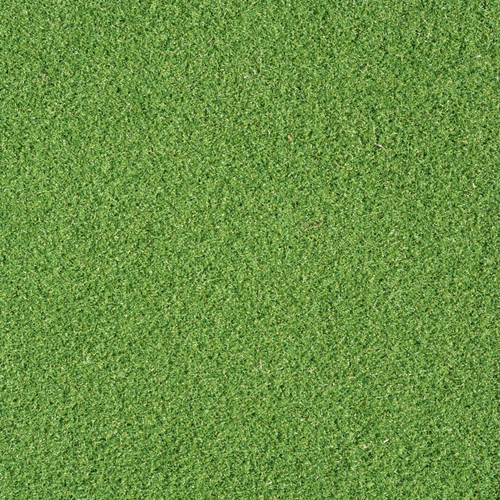 Close up shot of putting green turf. Close up shot of putting green turf.