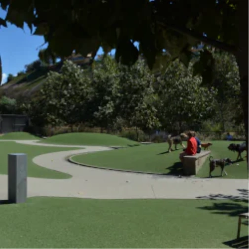 What to Consider Prior to When You Spec a Dog Park Surface in Asheville
