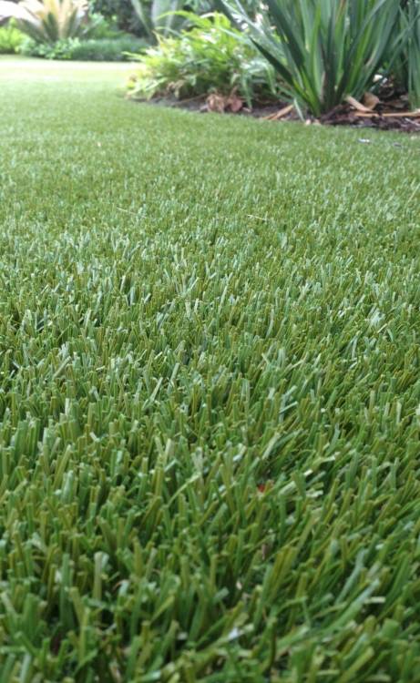 Asheville artificial grass
