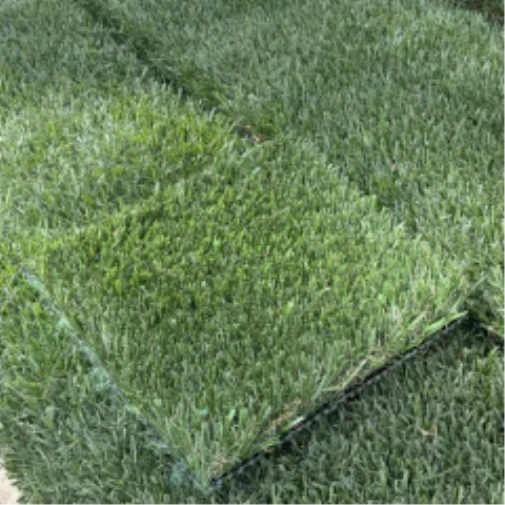 Introducing Wide Blade Turf in Asheville