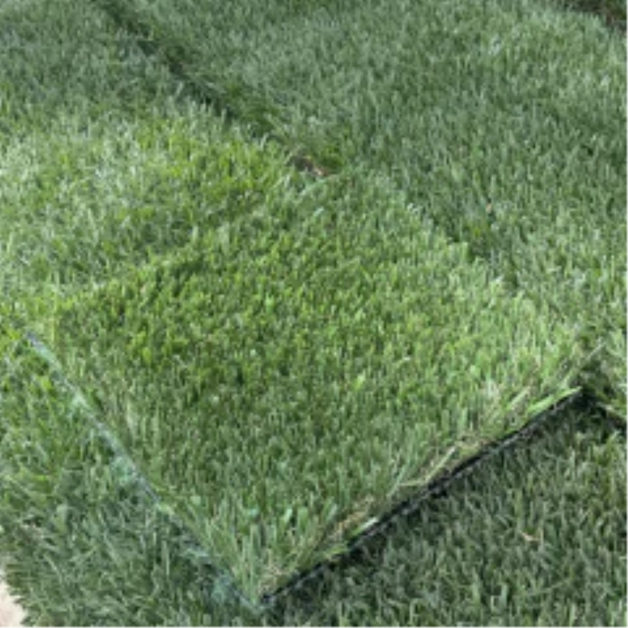 Introducing Wide Blade Turf in Asheville