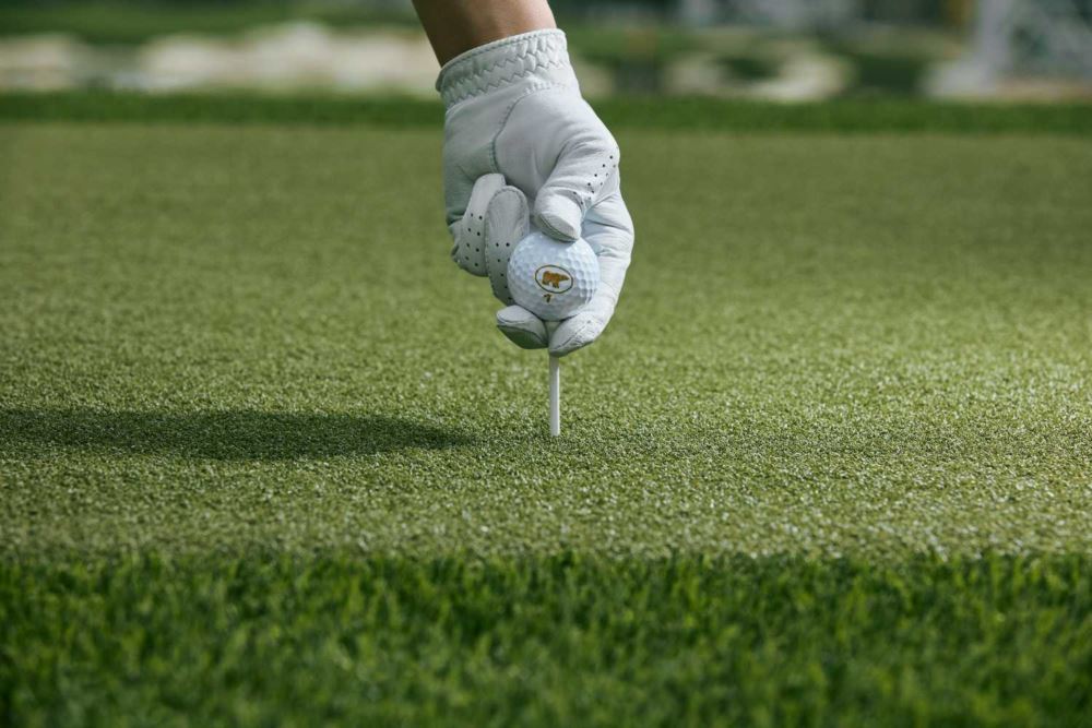 Tight tee w ball glove (1).jpg