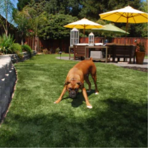 How fake grass for dogs Upgrades Your Asheville Backyard