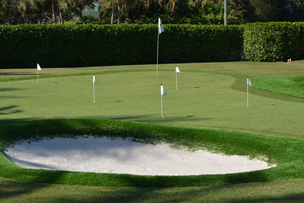 Backyard putting green with multiple practice cups, white flags, and a sand bunker built on artificial turf